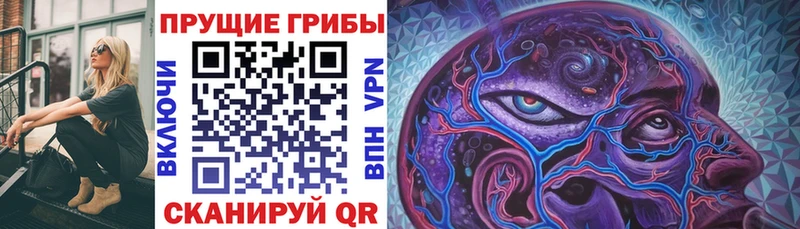 Псилоцибиновые грибы мицелий  Долинск 